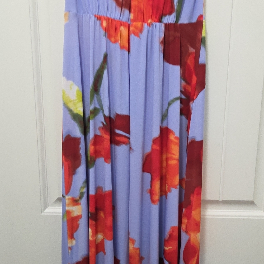 Calvin Klein Floral Print Midi Dress - Blue and Red - Picture 6 of 7